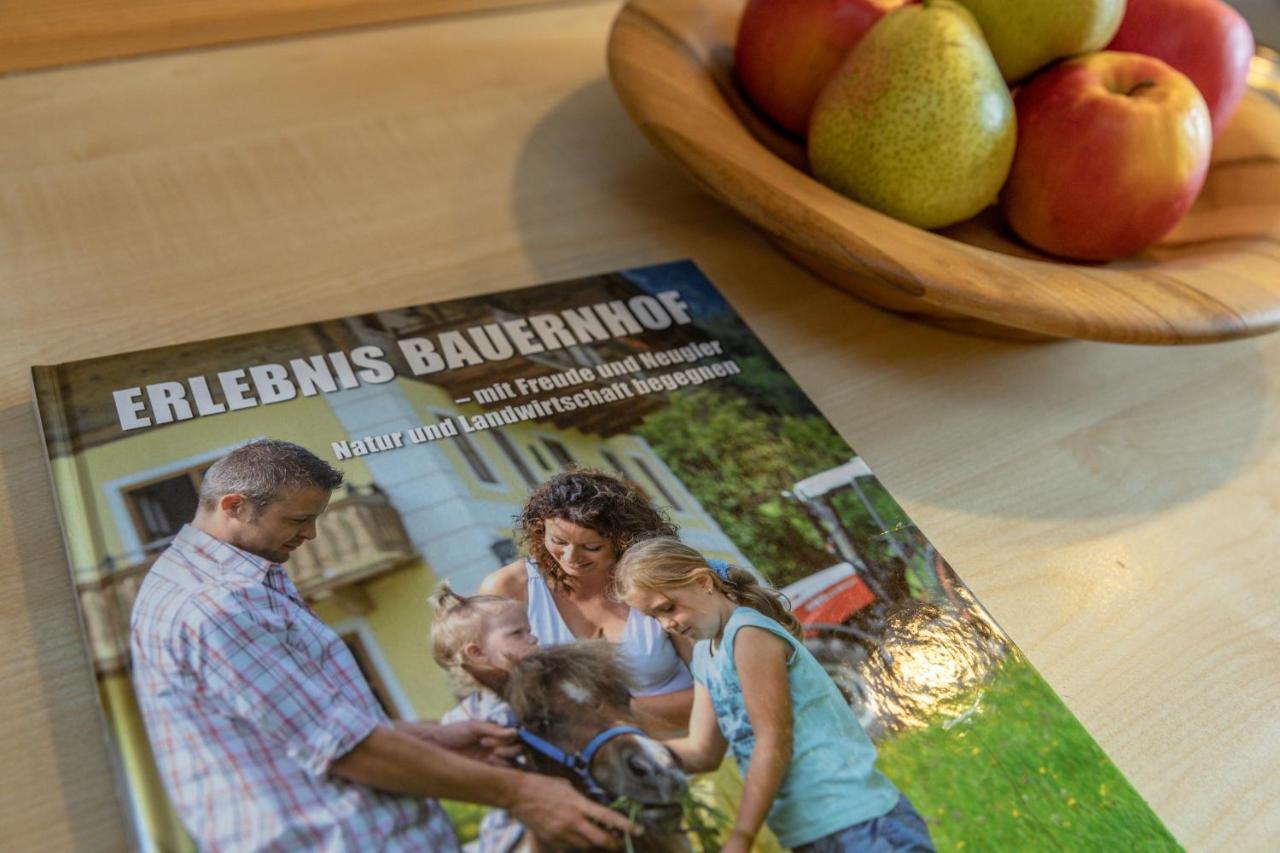 Farm stay Historischer Bauernhof Schabus