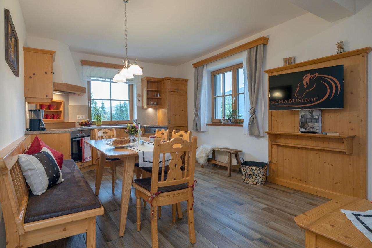 Farm stay Historischer Bauernhof Schabus *