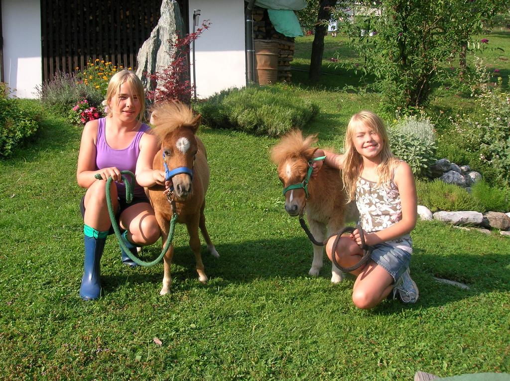 Historischer Bauernhof Schabus Farm stay *