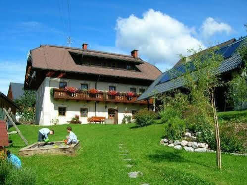 Historischer Bauernhof Schabus Farm stay *