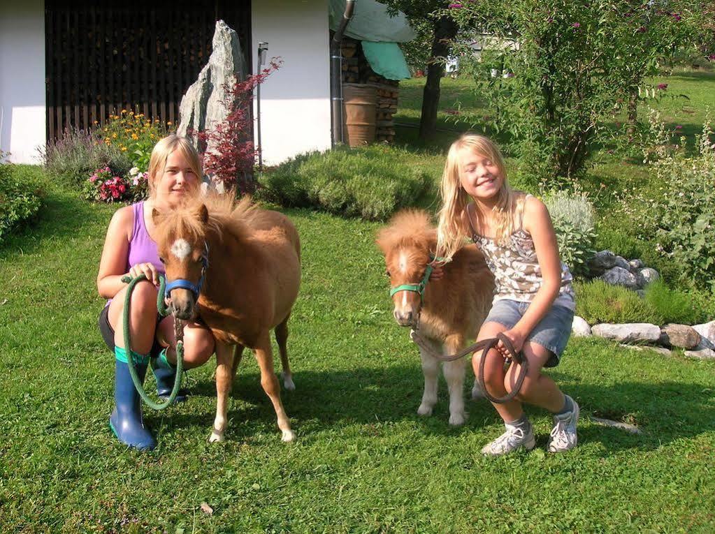 Farm stay Historischer Bauernhof Schabus Tropolach