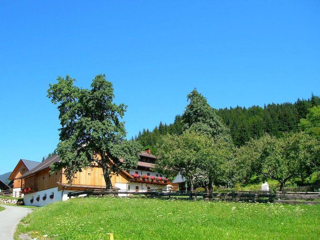 Historischer Bauernhof Schabus Farm stay